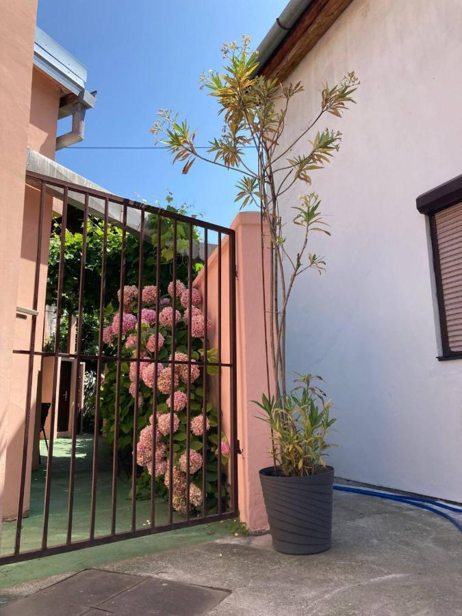 Apartment Dunja Center Welcome Нови Сад Екстериор снимка